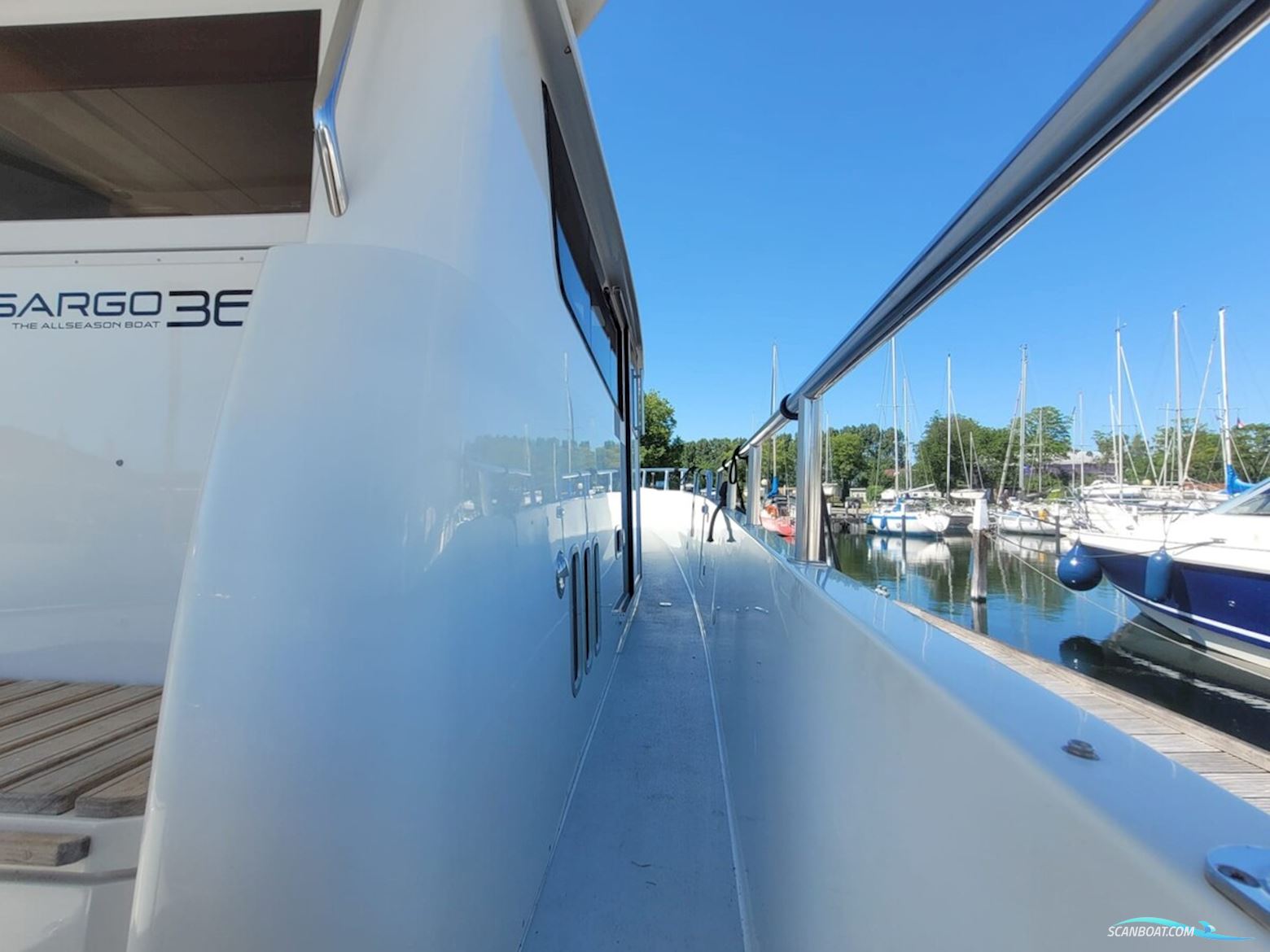 Sargo 36