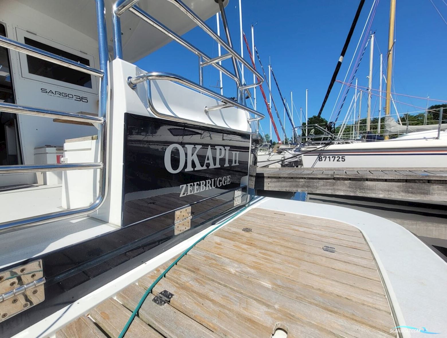 Sargo 36