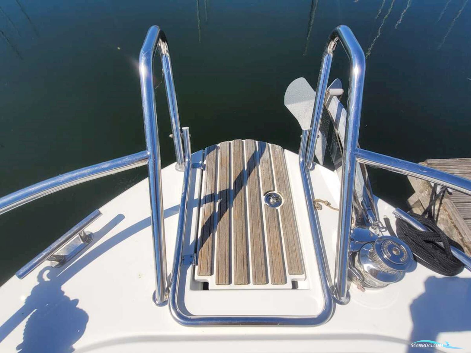 Sargo 36