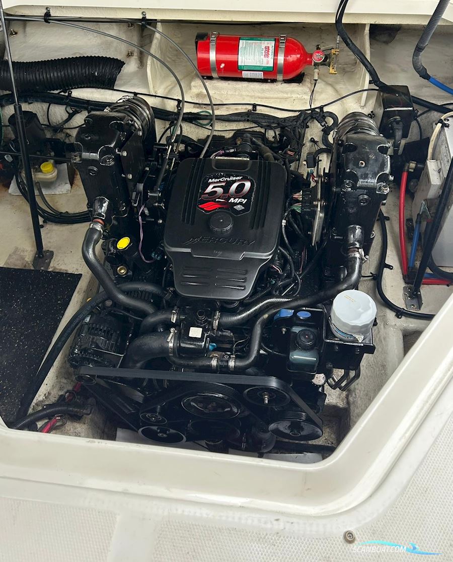 Sea Ray 240 Sundancer mit 3,5 t Ohlmeyer Trailer