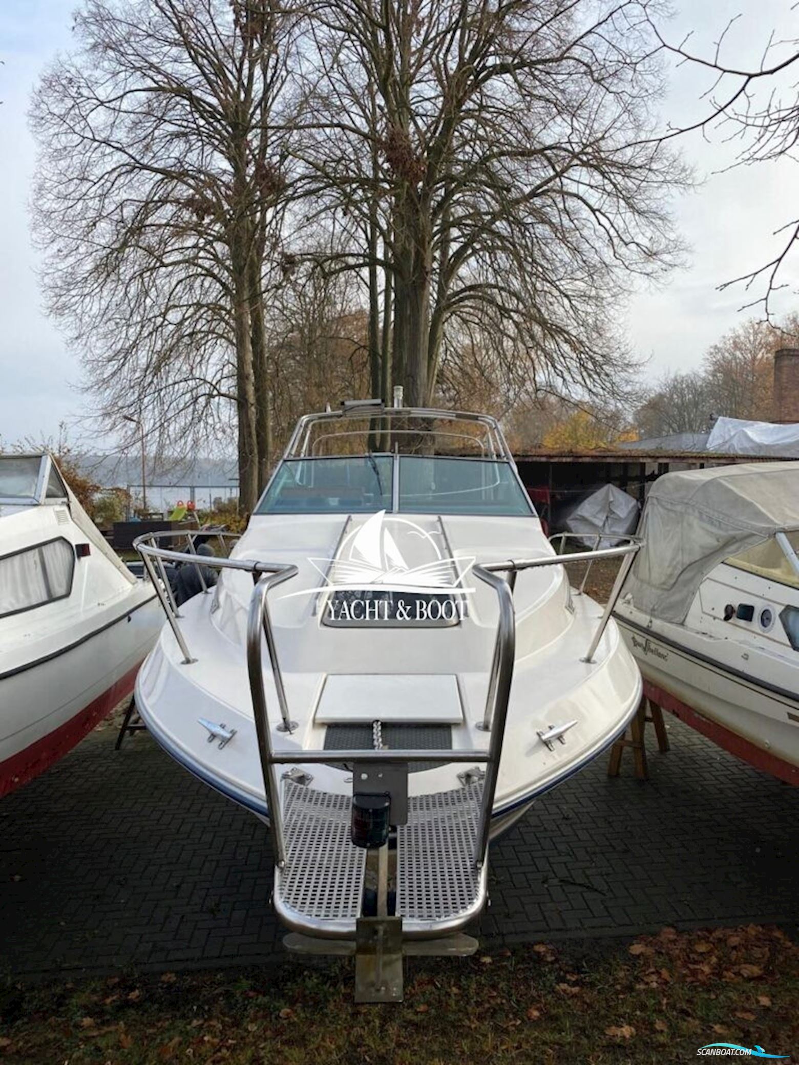Sea Ray 250 DA