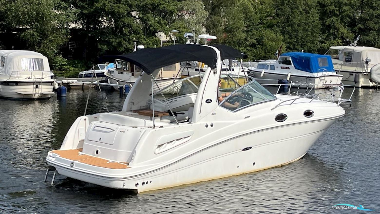 Sea Ray 260 Sundancer