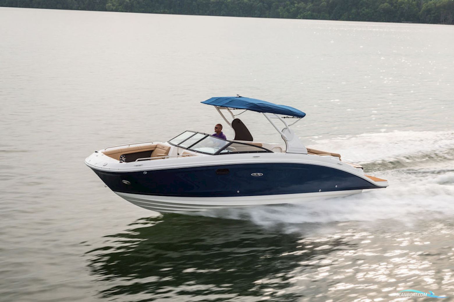 Sea Ray 270 SDX