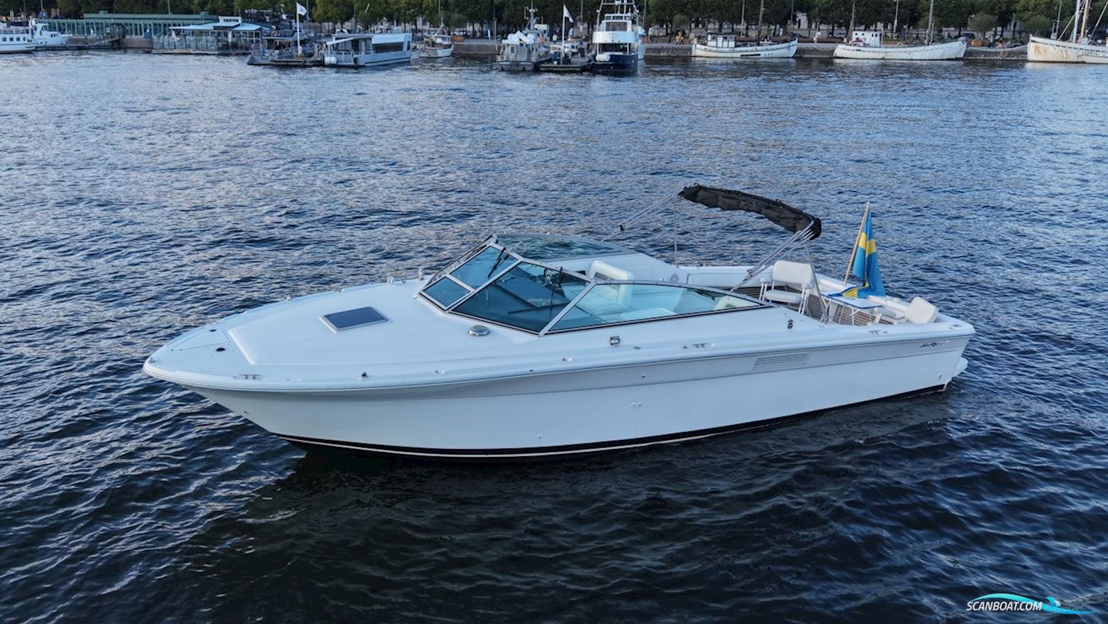 Sea Ray 310 Amberjack
