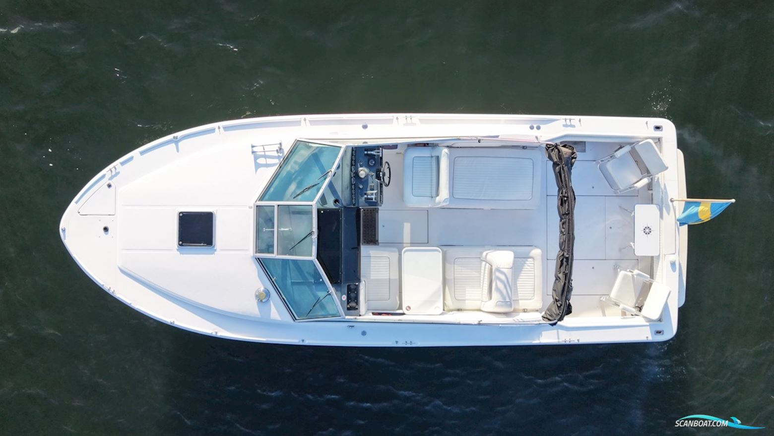 Sea Ray 310 Amberjack