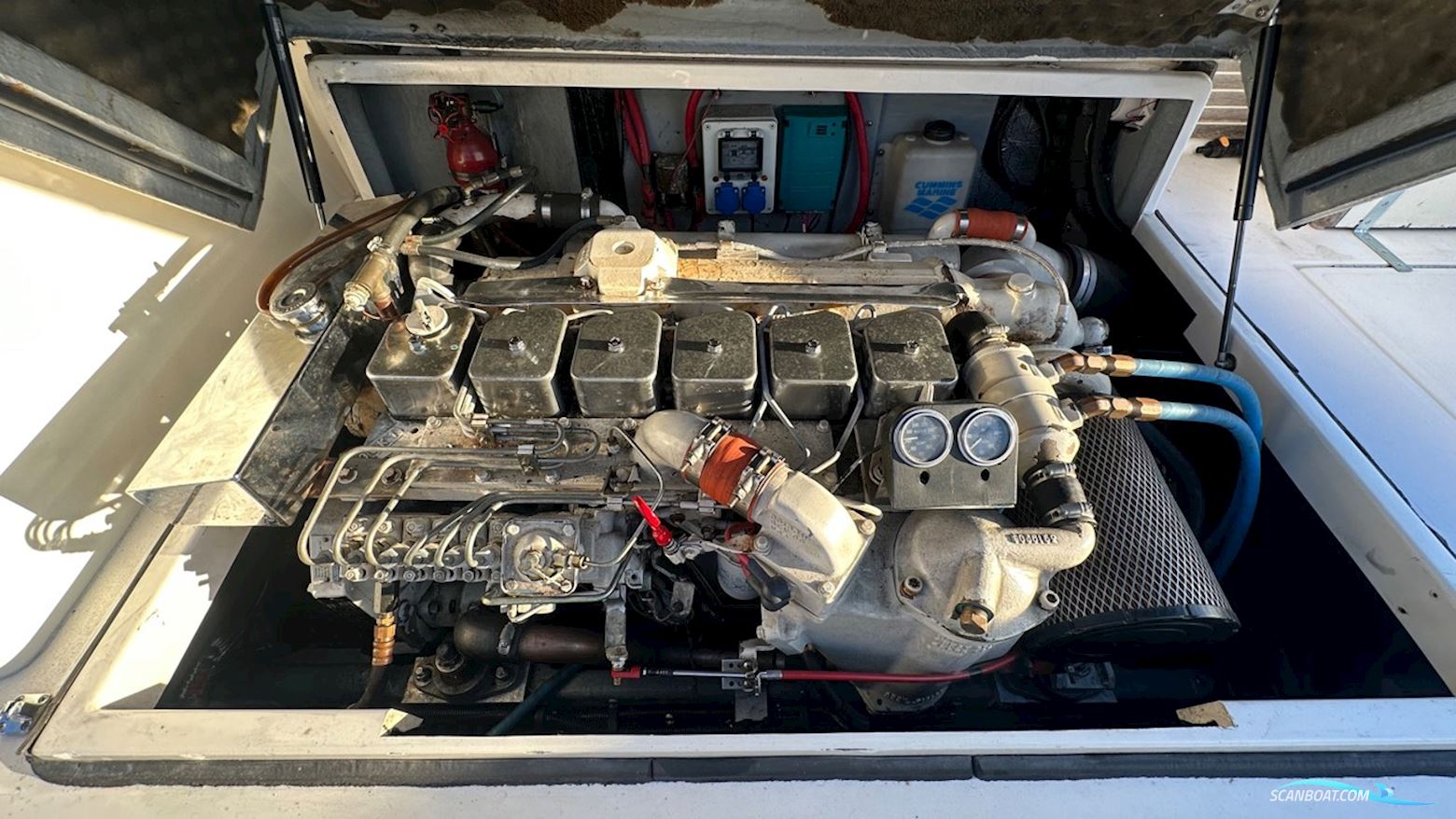 Sea Ray 310 Amberjack