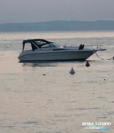 Sea Ray 310 DA Motorboten 1991, met Mercruiser motor, Italië