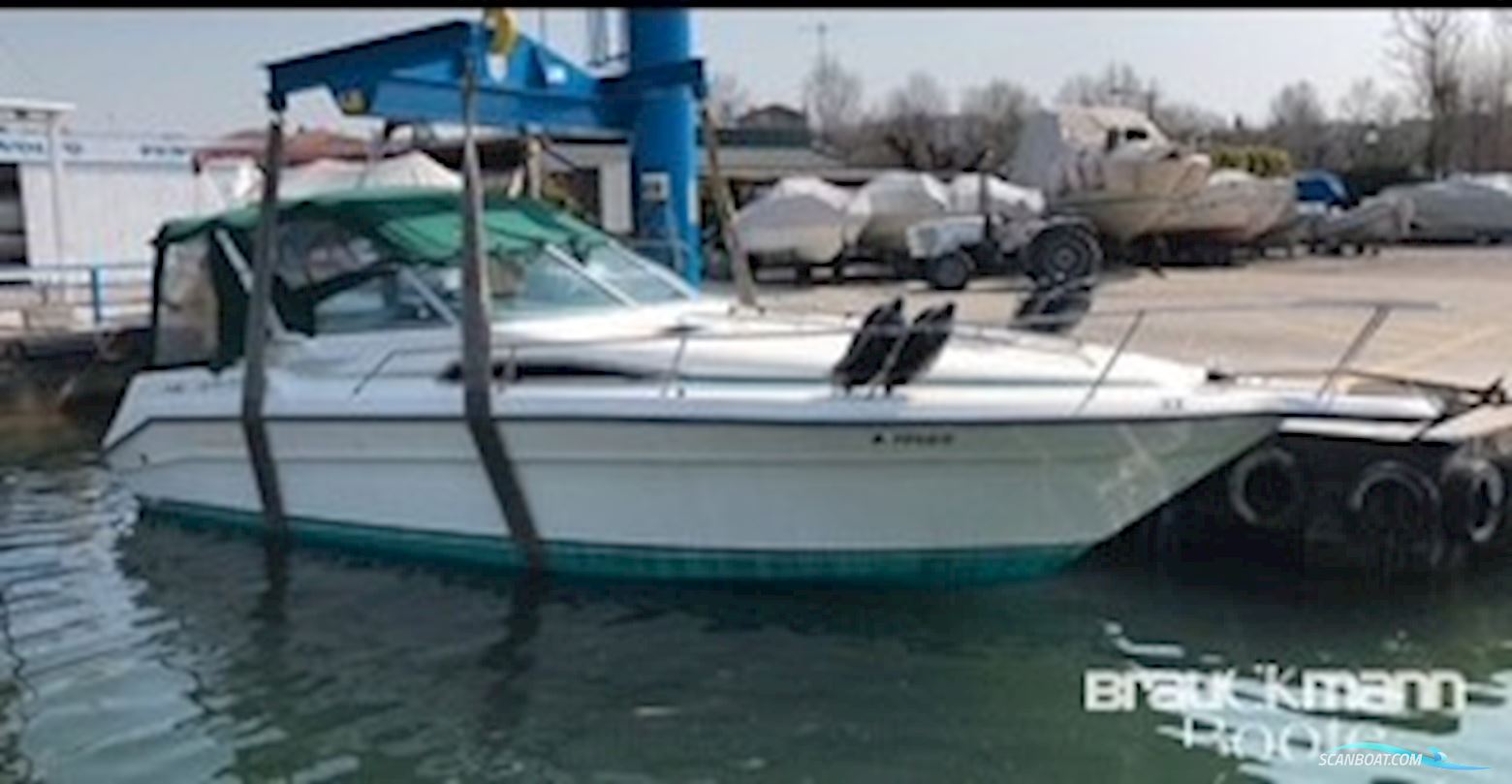 Sea Ray 310 DA