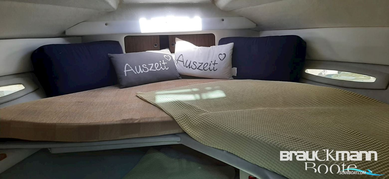 Sea Ray 310 Sad