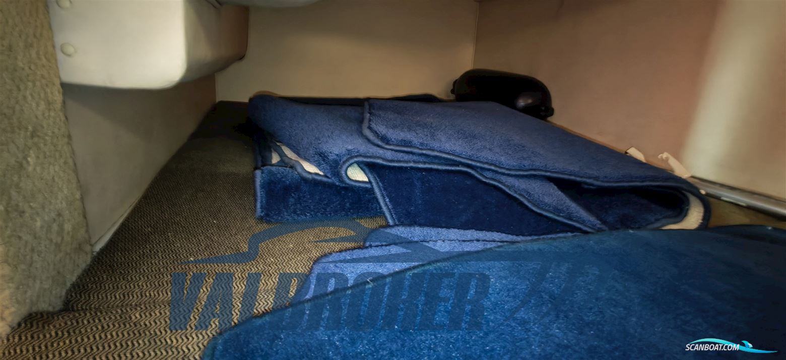 Sea Ray 315 Sundancer