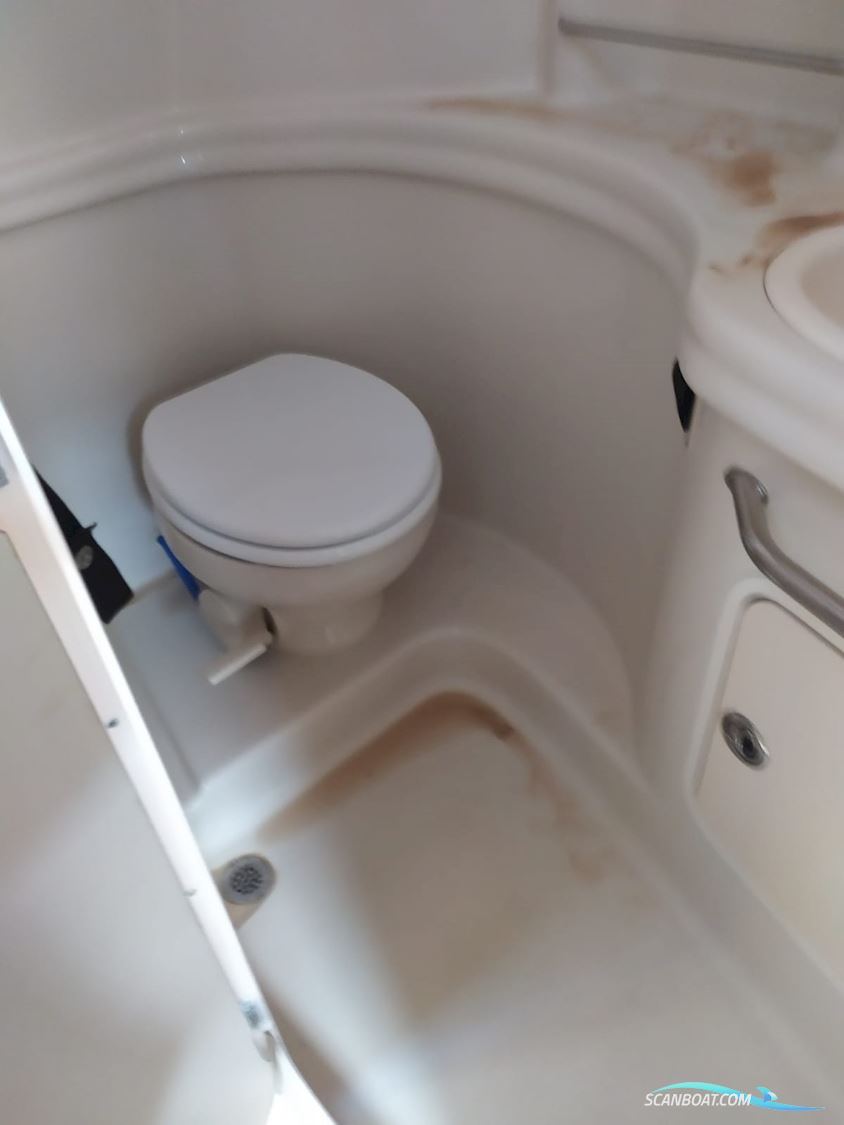 Sea Ray 335 Sundancer