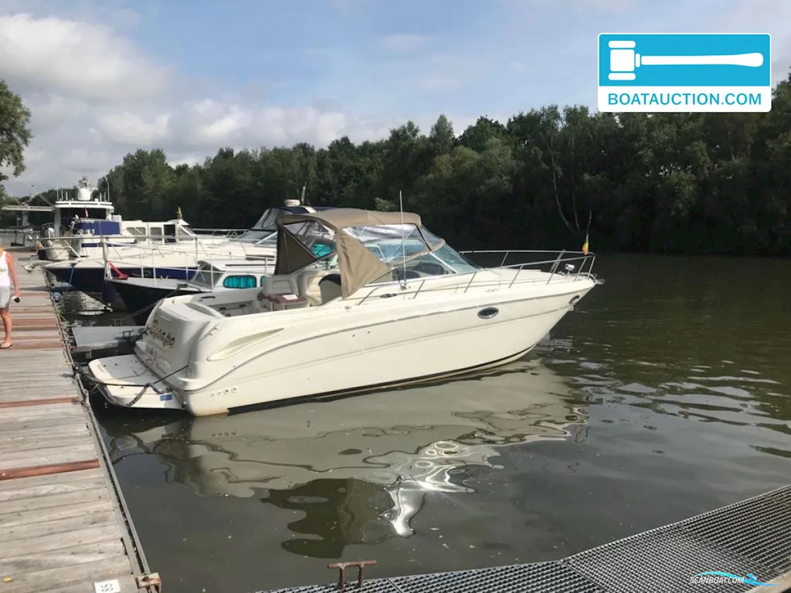 Sea Ray Amberjack 315