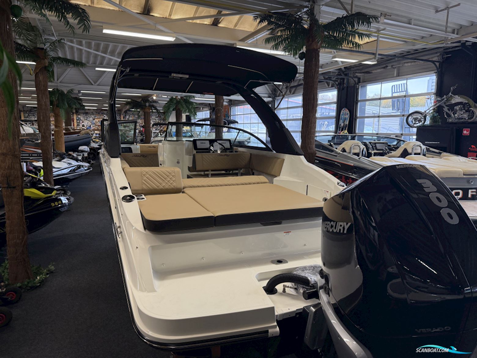 Sea Ray Sdx 250 Outboard