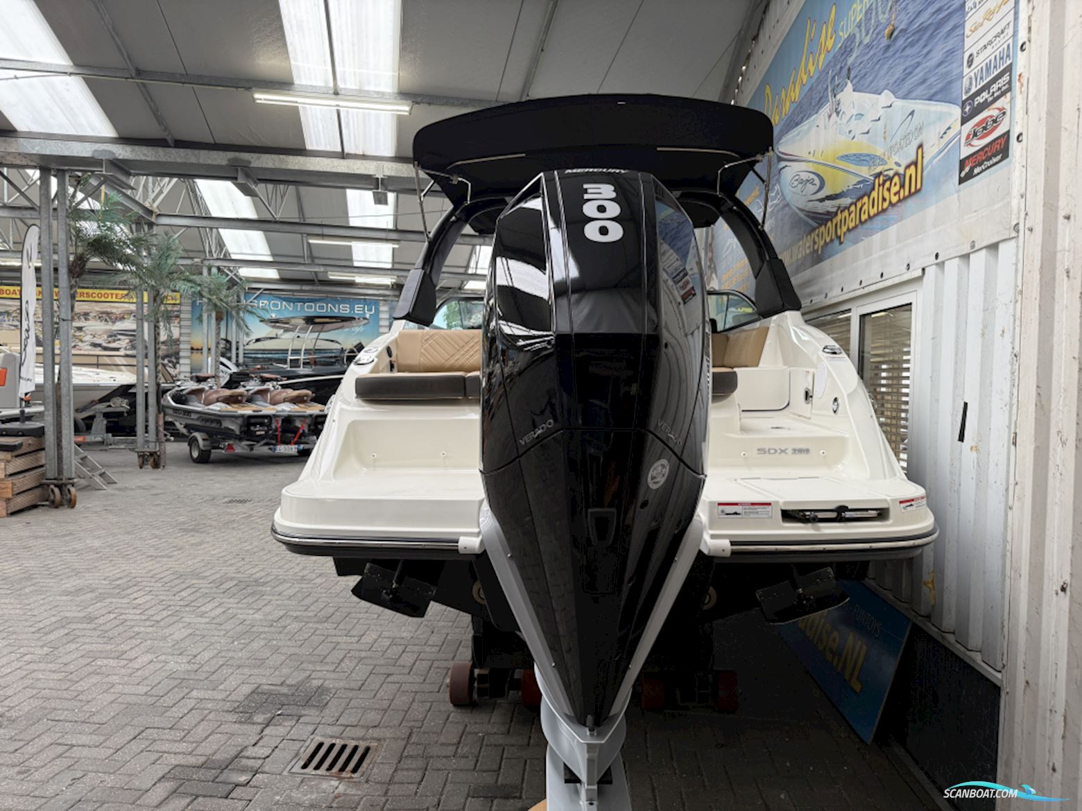 Sea Ray Sdx 250 Outboard