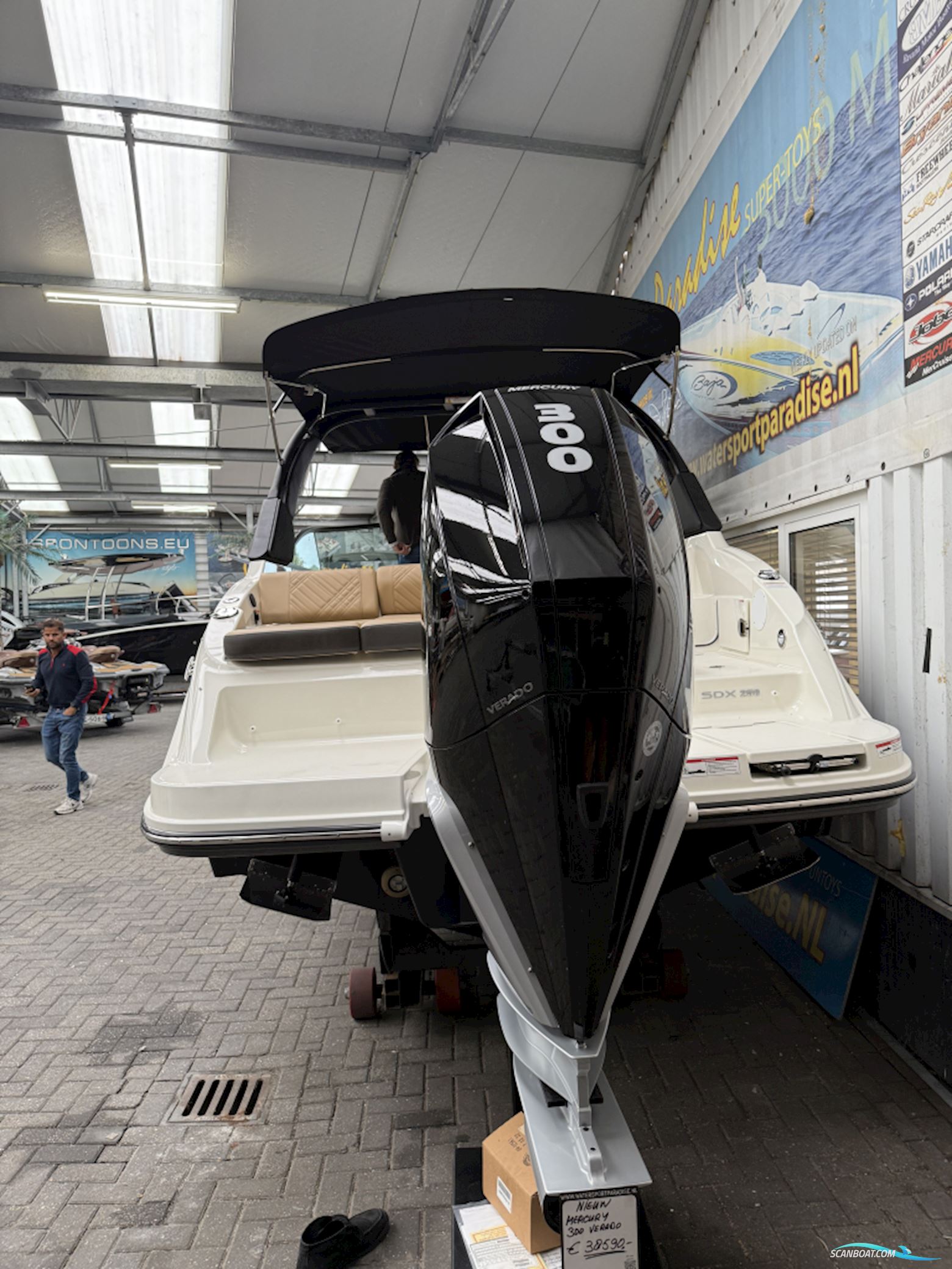 Sea Ray Sdx 250 Outboard