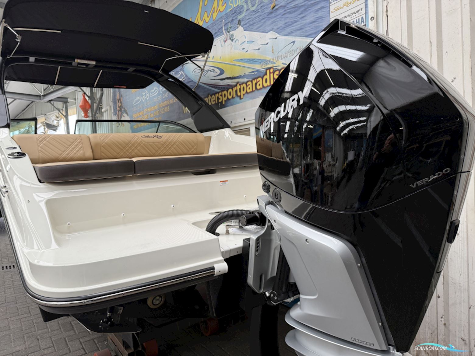 Sea Ray Sdx 250 Outboard