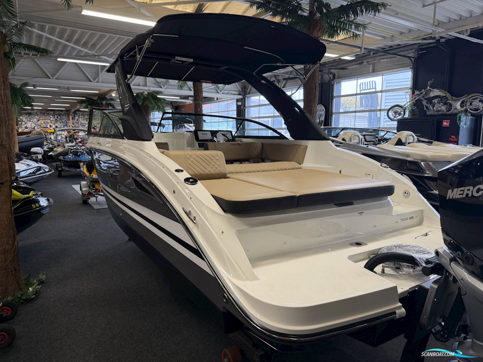 Sea Ray Sdx 250 Outboard