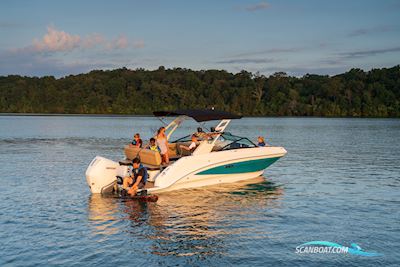 Sea Ray Sdx 250 Motorboten 2025, met Mercury motor, Denemarken