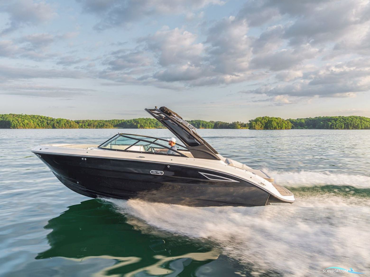 Sea Ray SDX 250