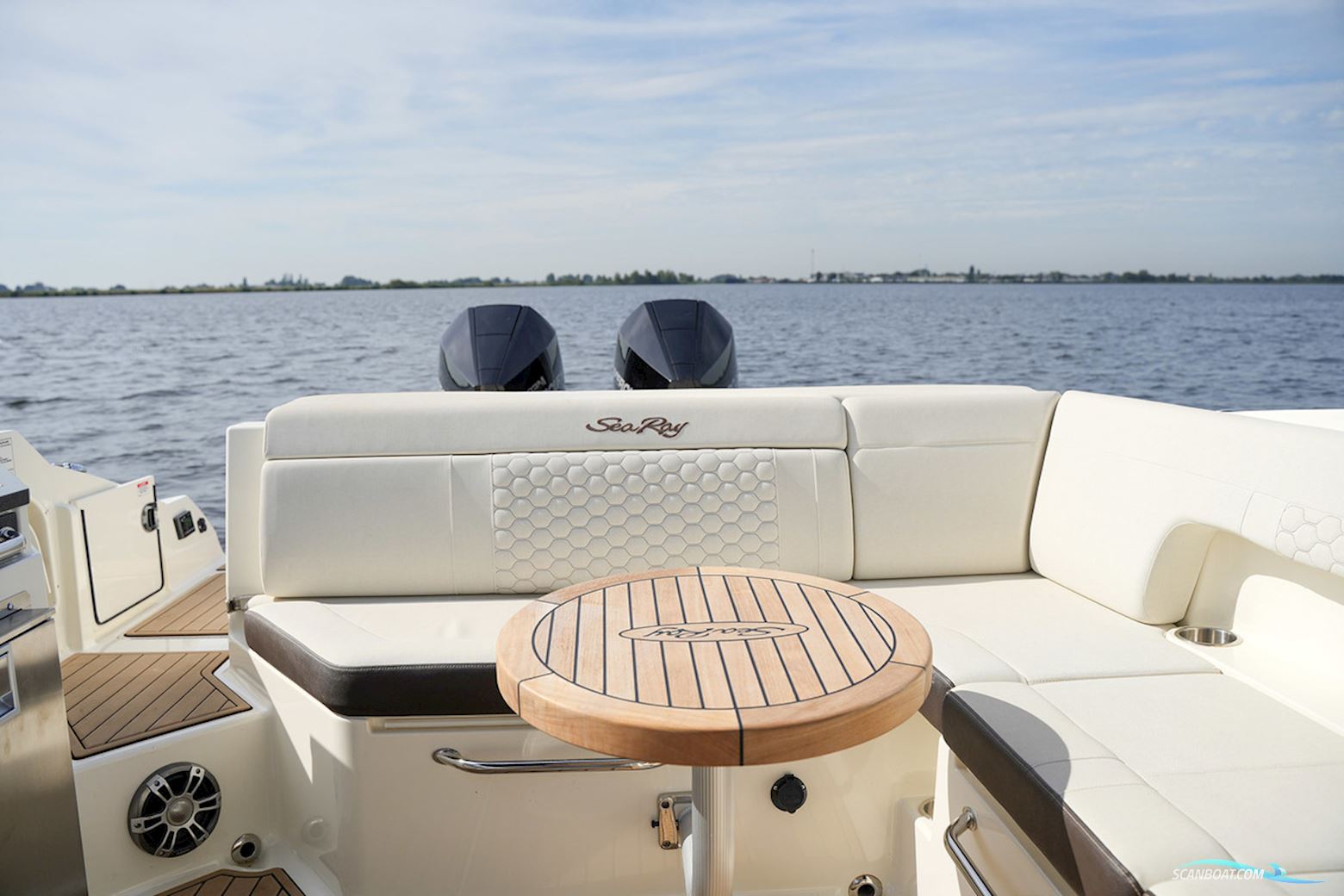 Sea Ray SDX 290 Outboard