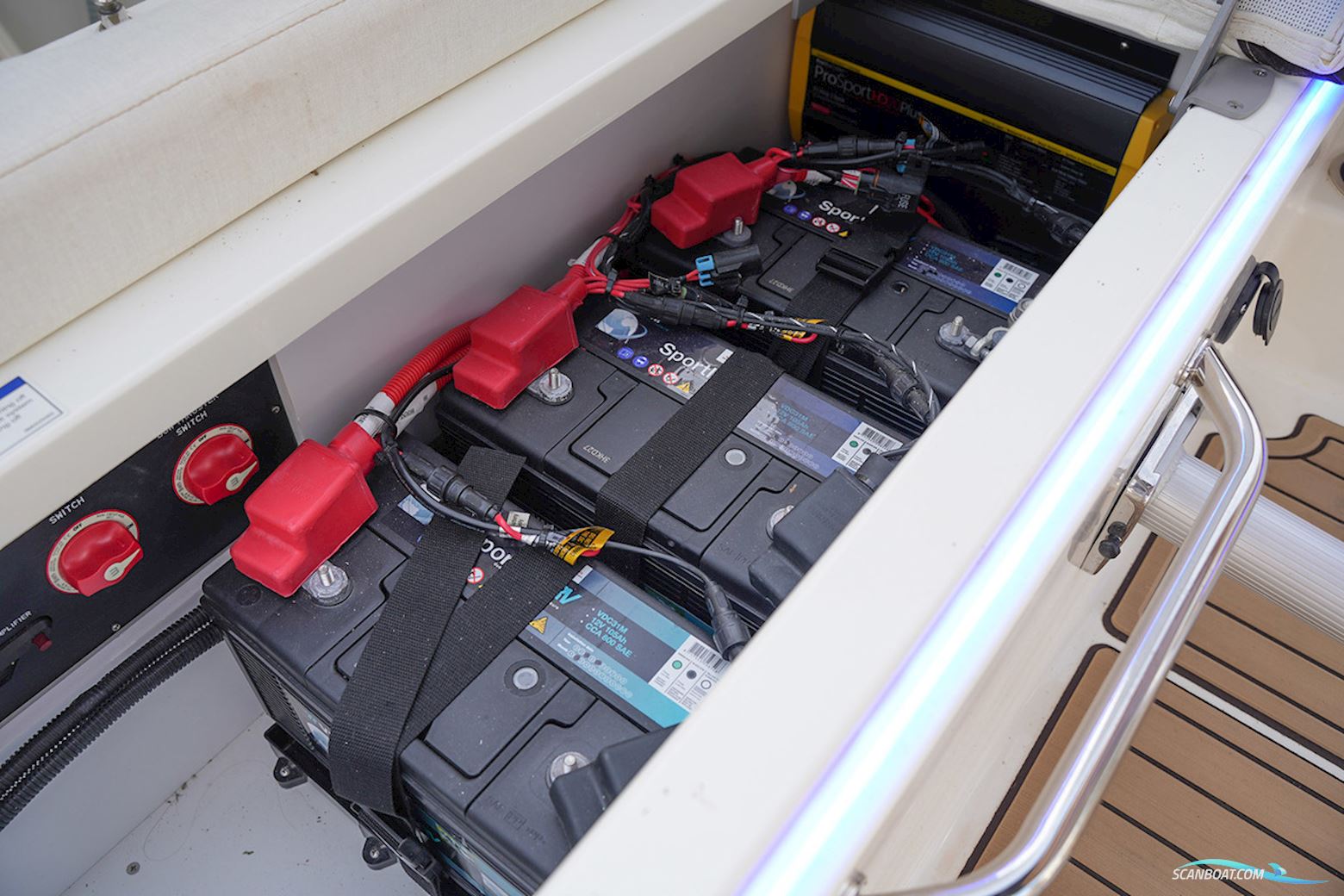 Sea Ray SDX 290 Outboard