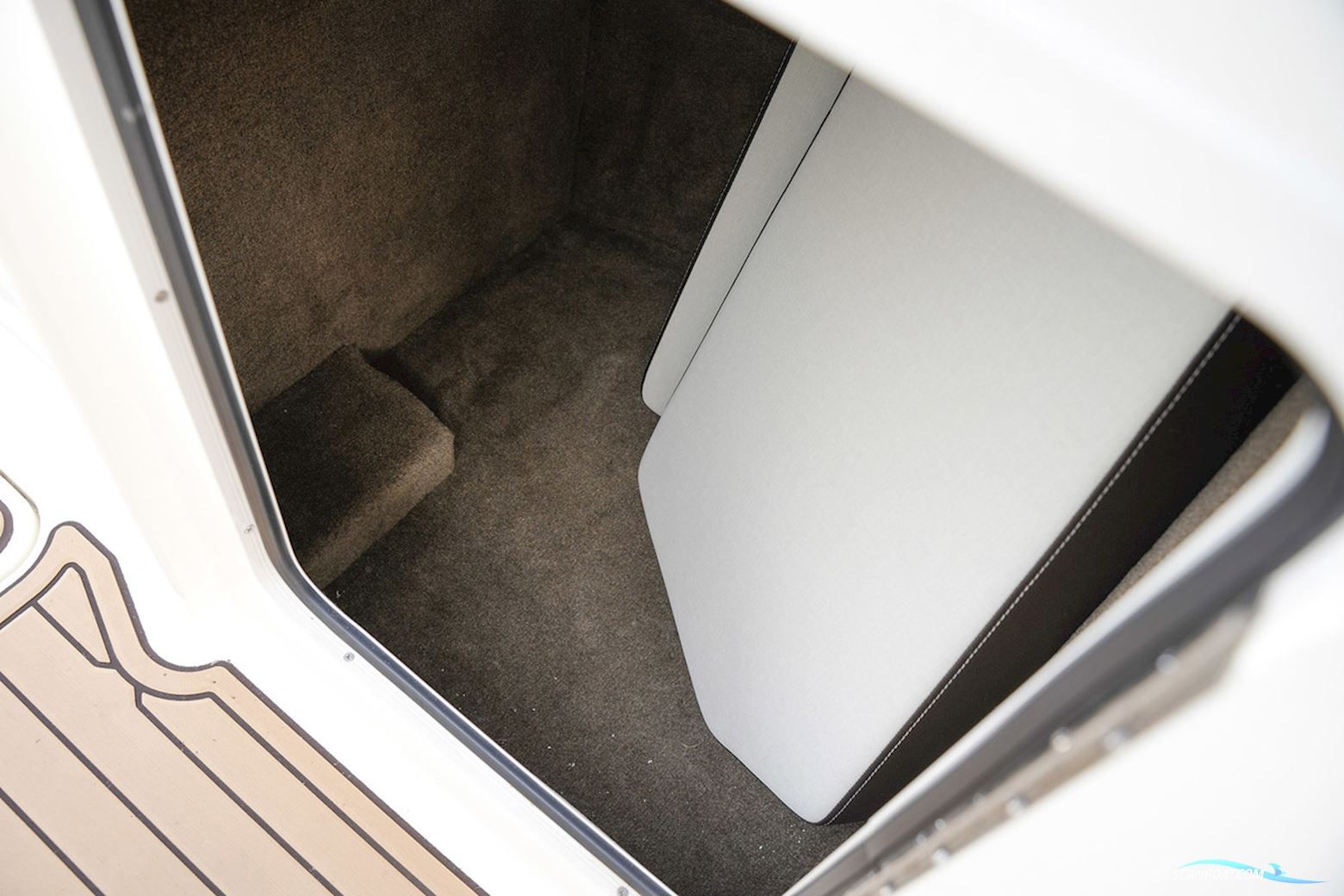 Sea Ray SDX 290 Outboard