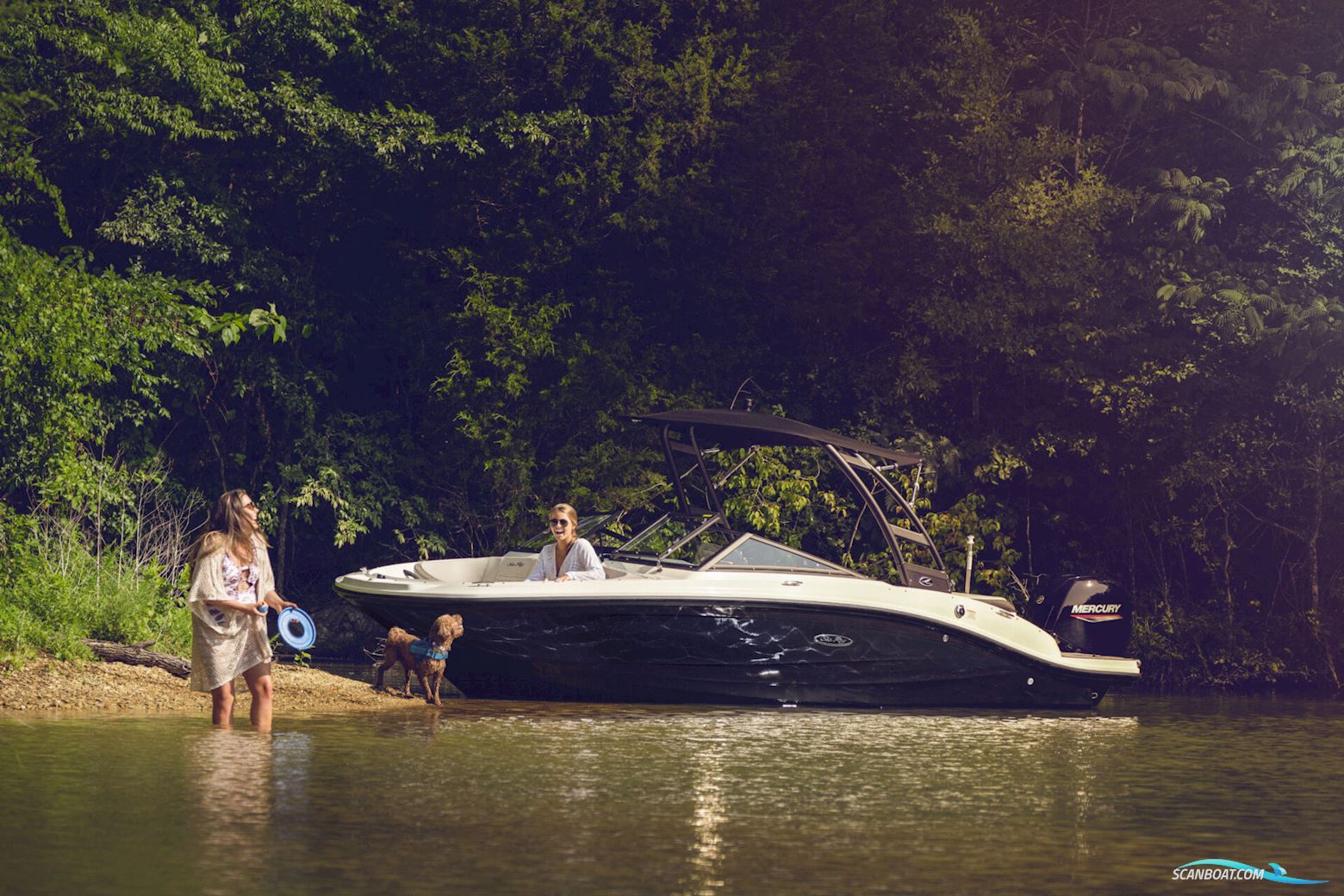 Sea Ray Spx 190 Outboard