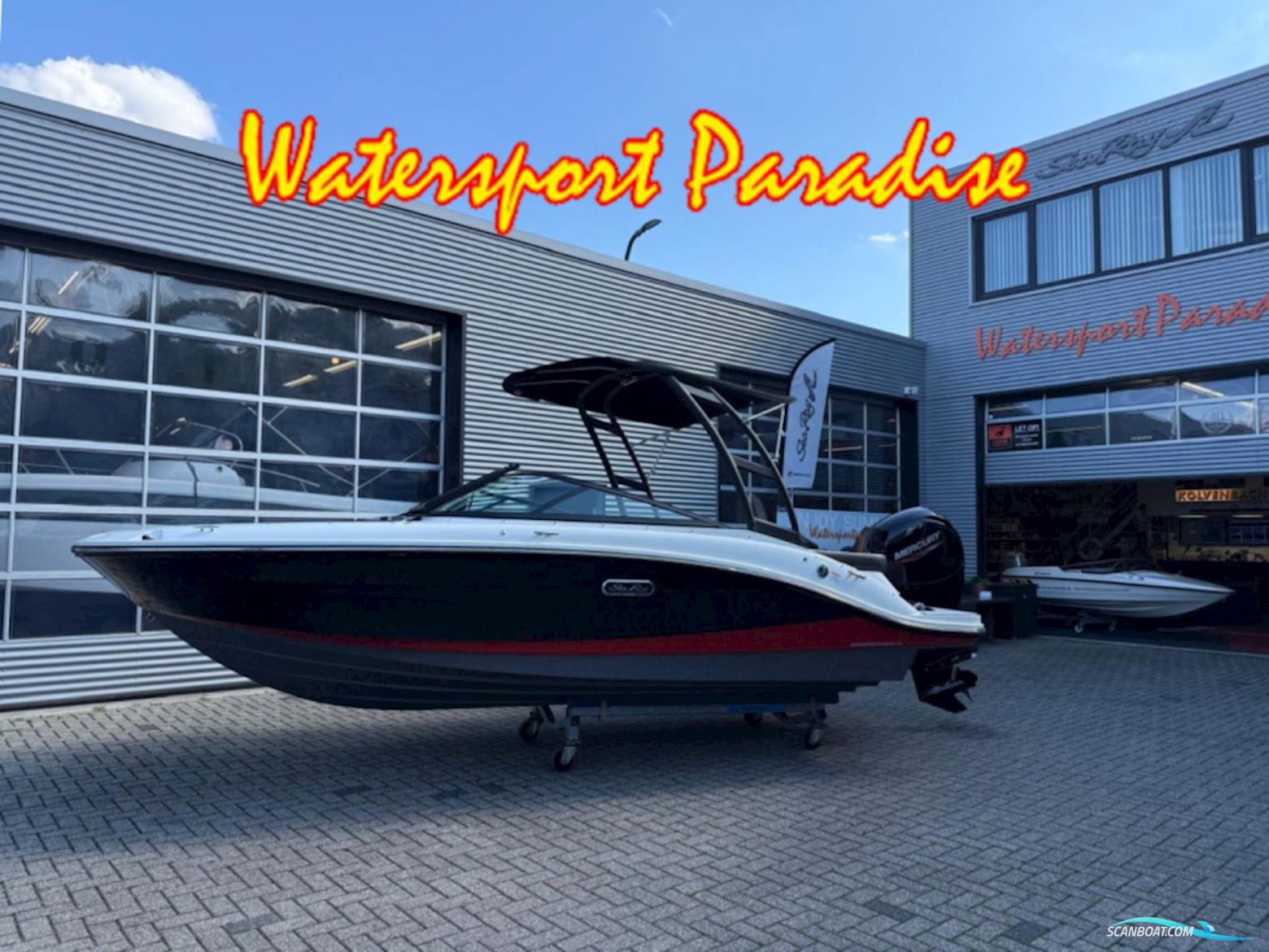 Sea Ray SPX 190 Motorboten 2026, met Mercury motor, The Netherlands