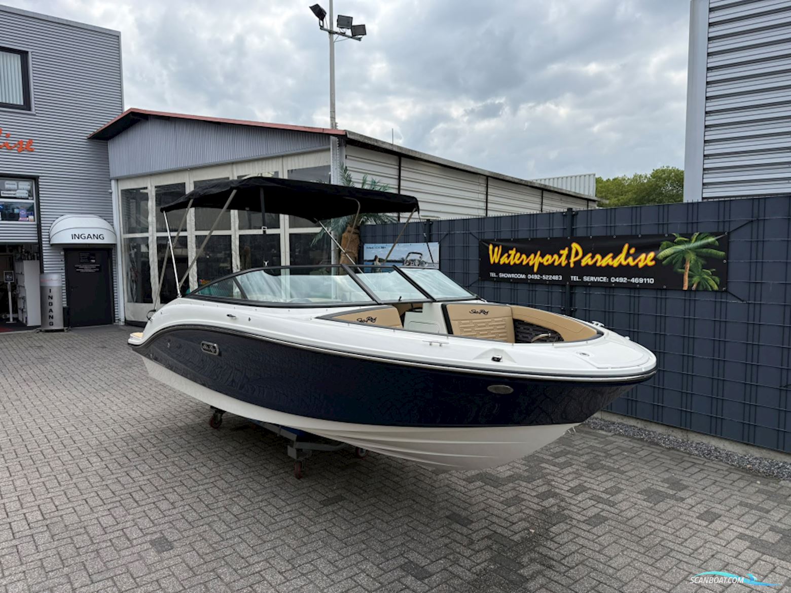 Sea Ray SPX 190 Motorboten 2027, met MerCruiser motor, The Netherlands