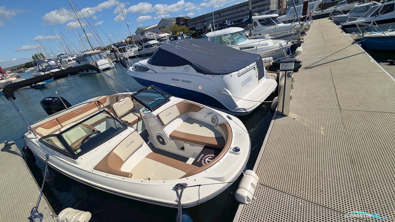Sea Ray Spx 210