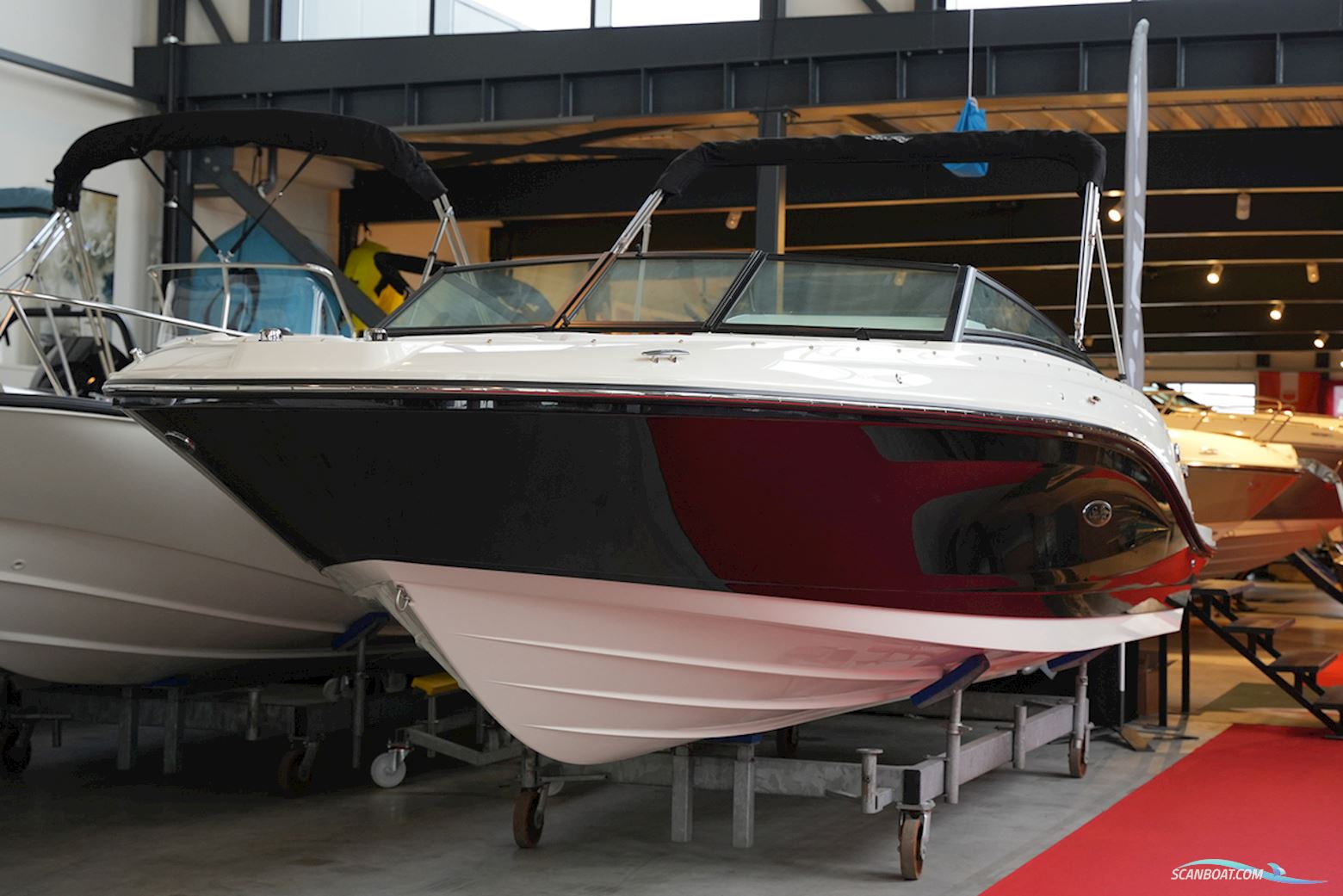 Sea Ray SPX 230 Outboard