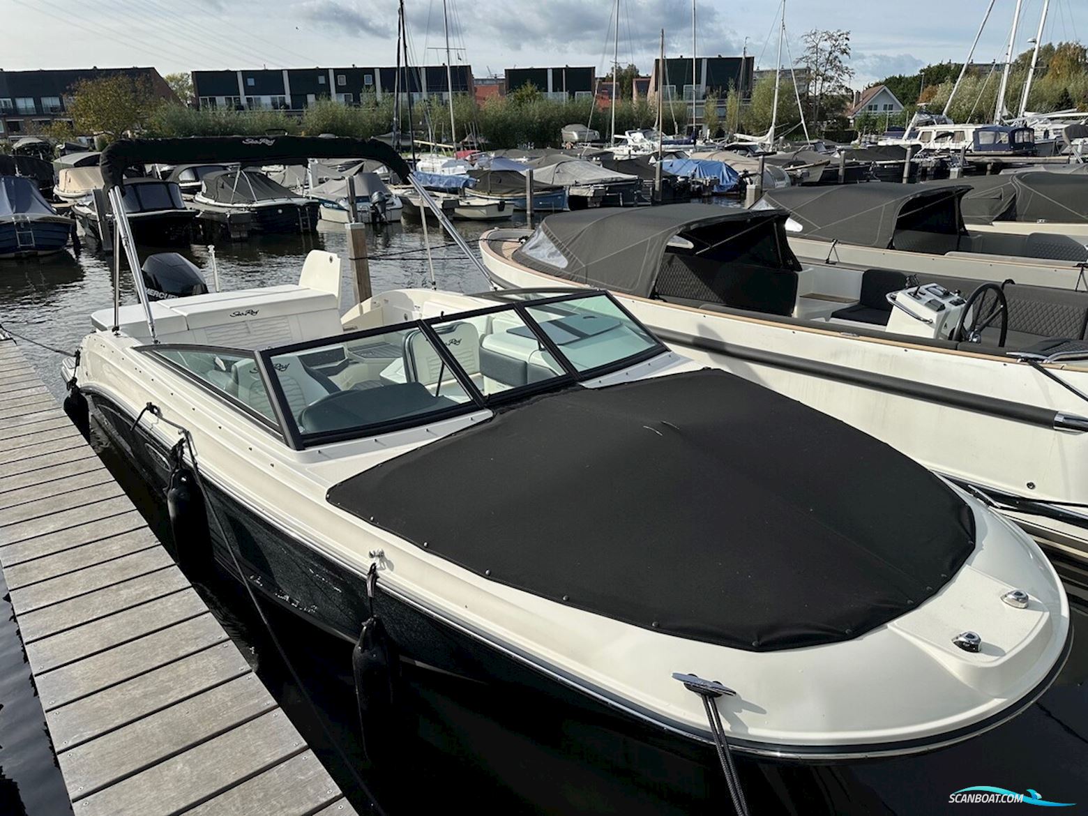 Sea Ray SPX 230 Outboard