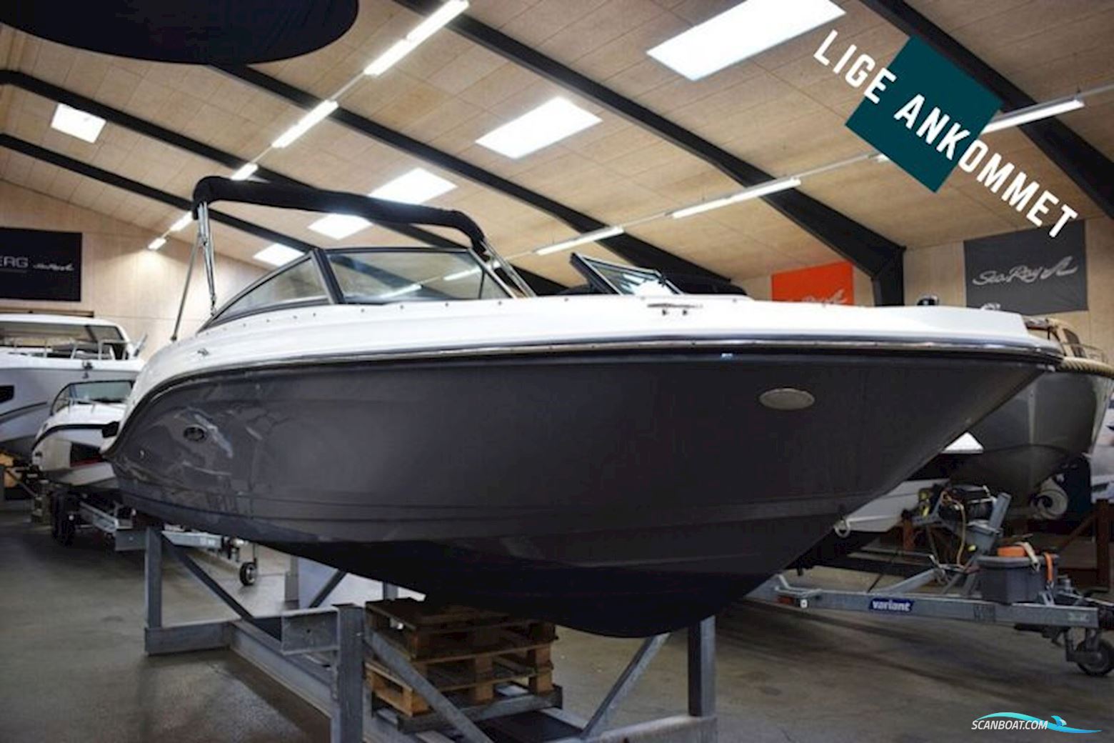 Sea Ray Spx 230 Outboard Motorboten 2021, met Mercury motor, Denemarken