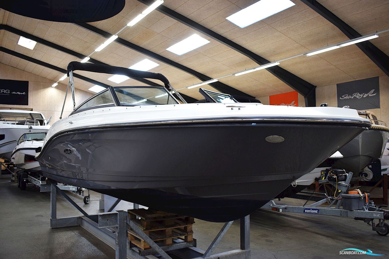 Sea Ray Spx 230 Outboard