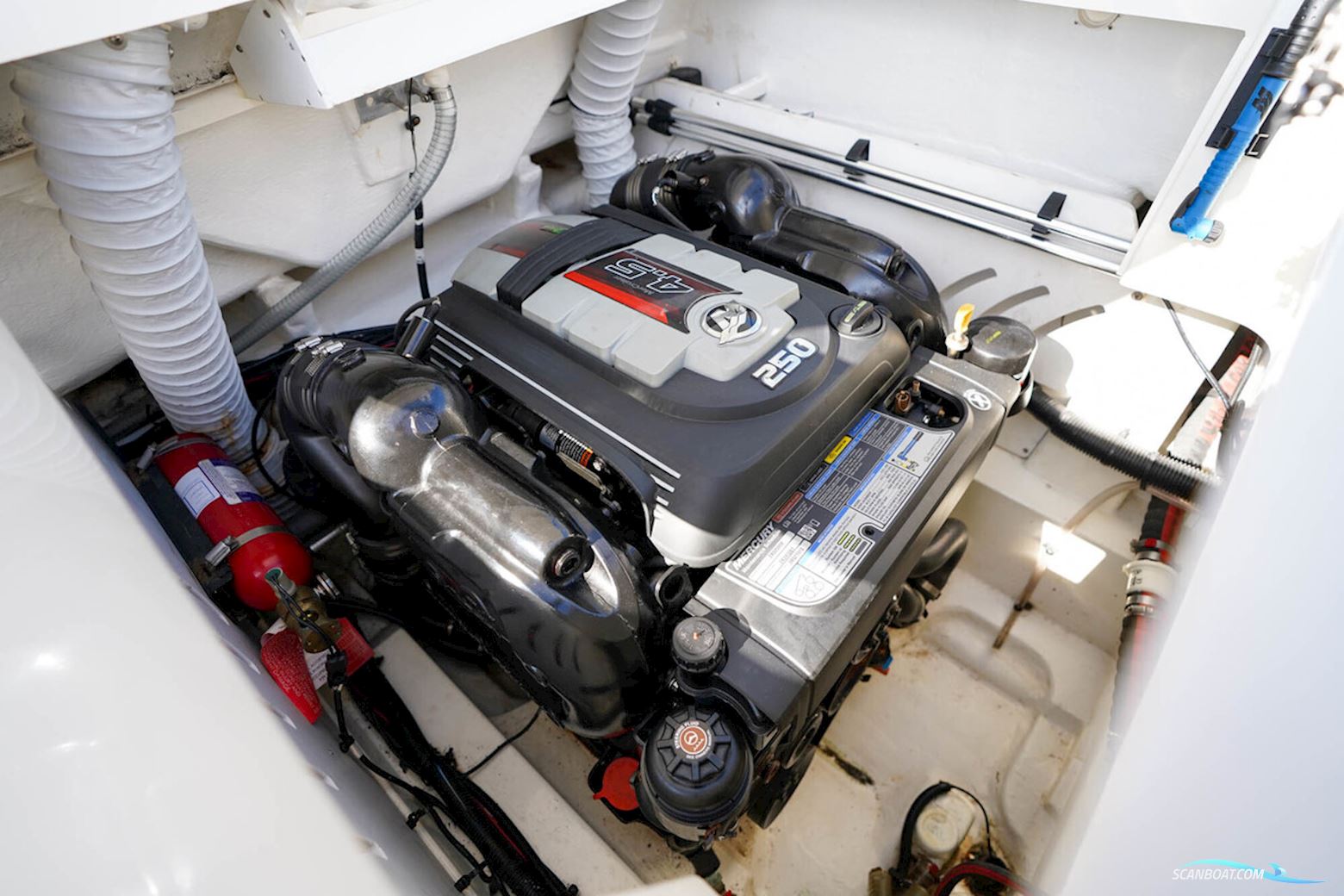 Sea Ray Sun Sport 230