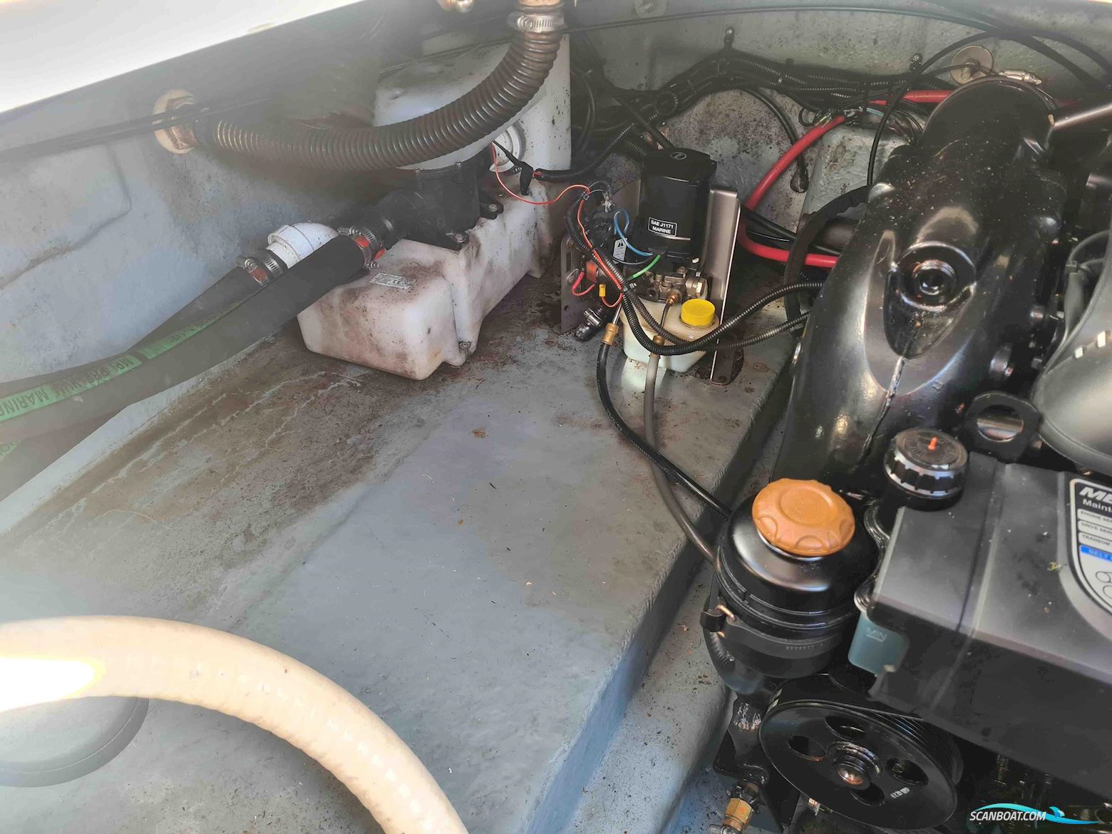 Sea Ray Sundancer 260 (NEW ENGINE 2021!!)