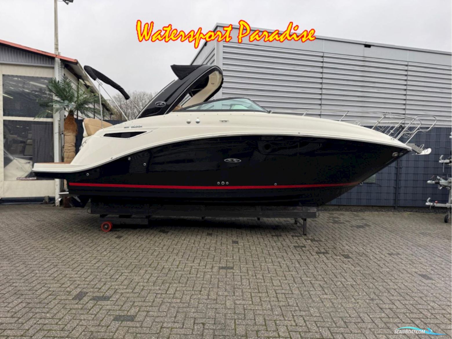 Sea Ray Sundancer 265 Motorboten 2021, met Mercury  motor, The Netherlands