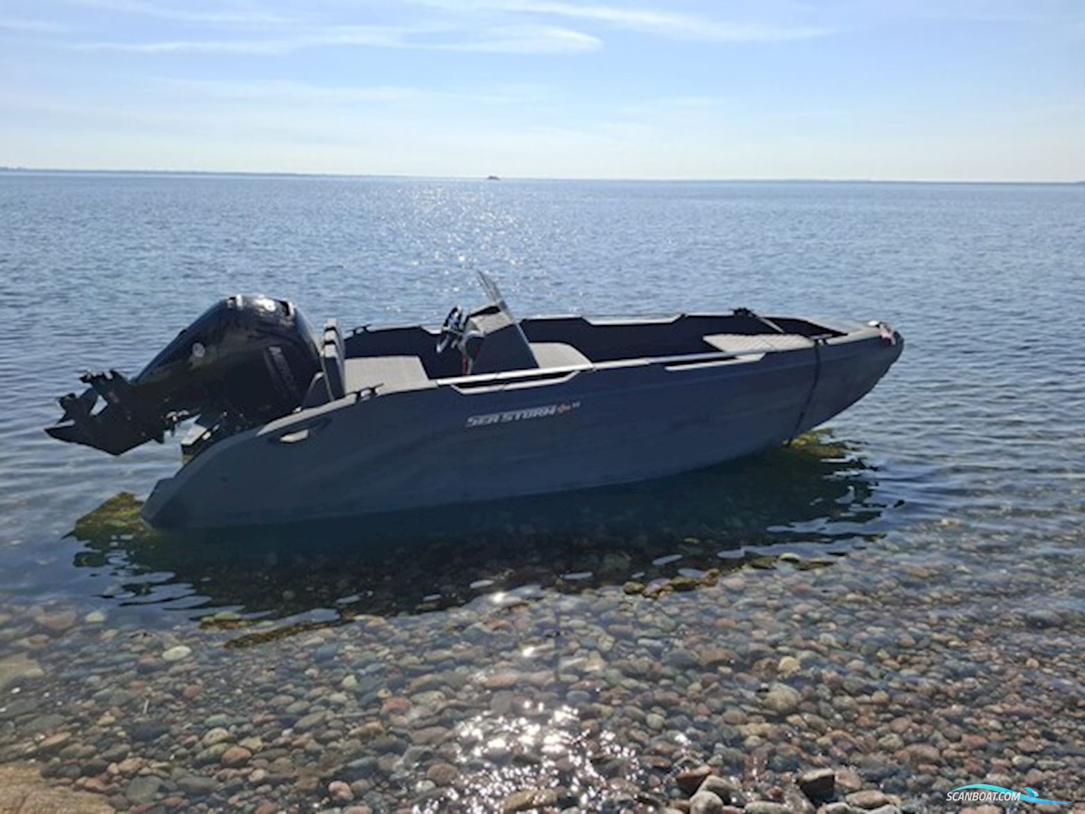 Sea Storm 17, Mercury F60 EFI