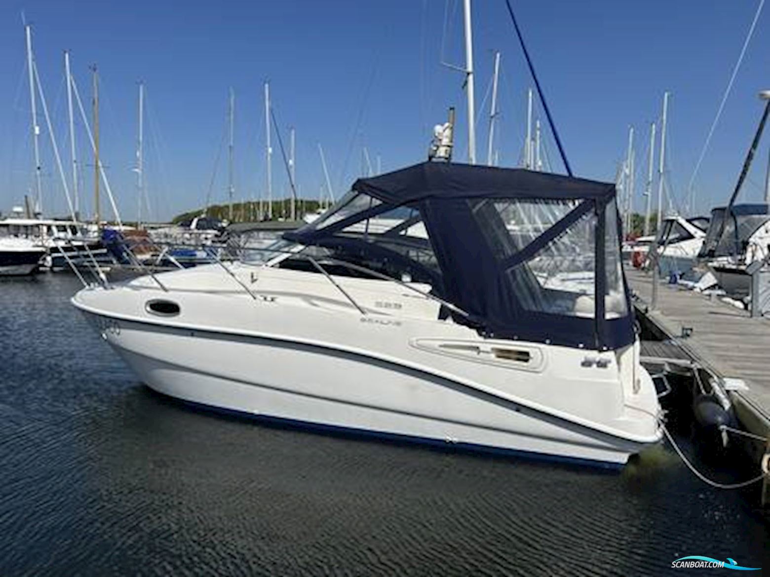 Sealine International S23