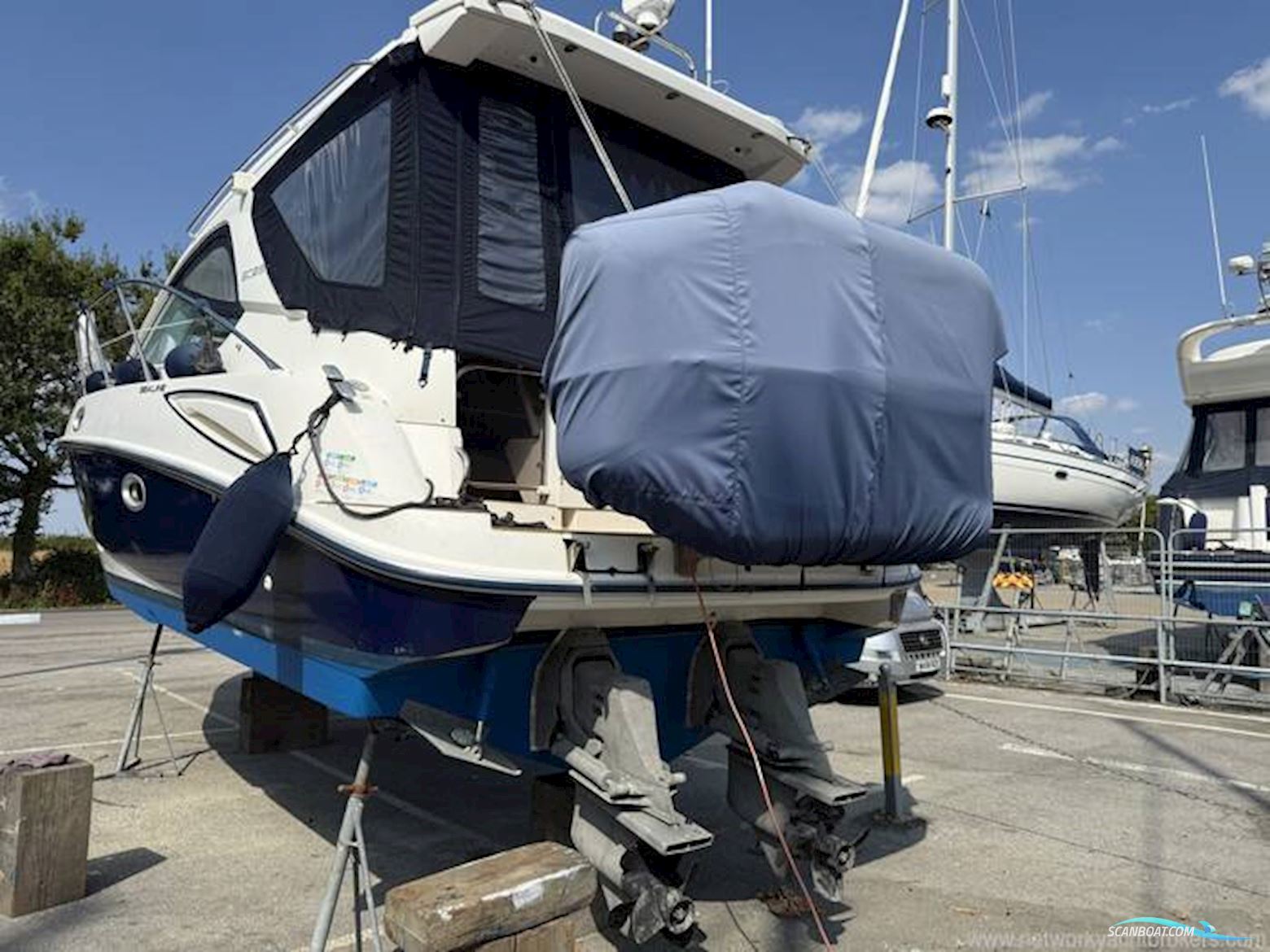 Sealine International SC29