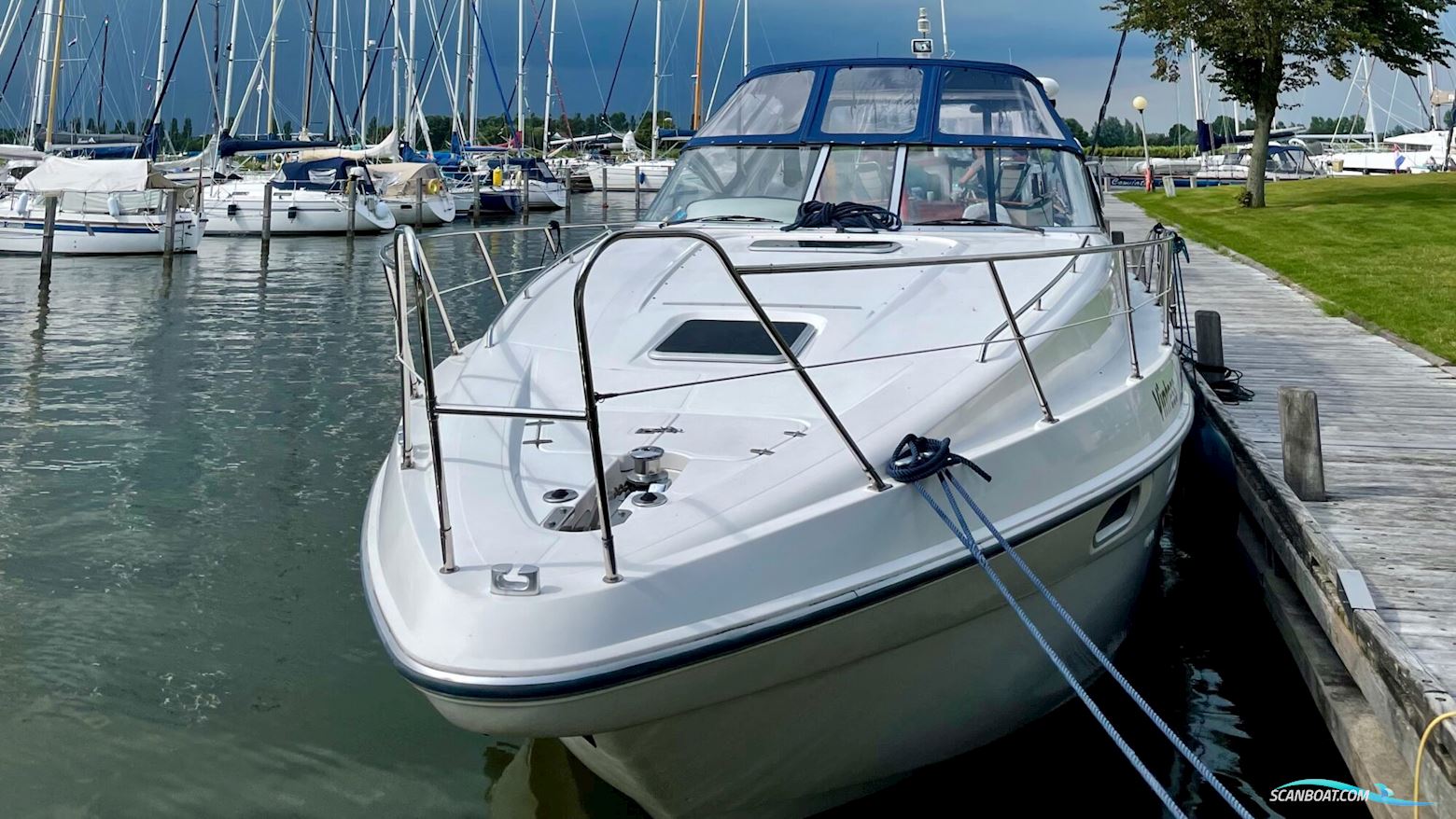 Sealine S37