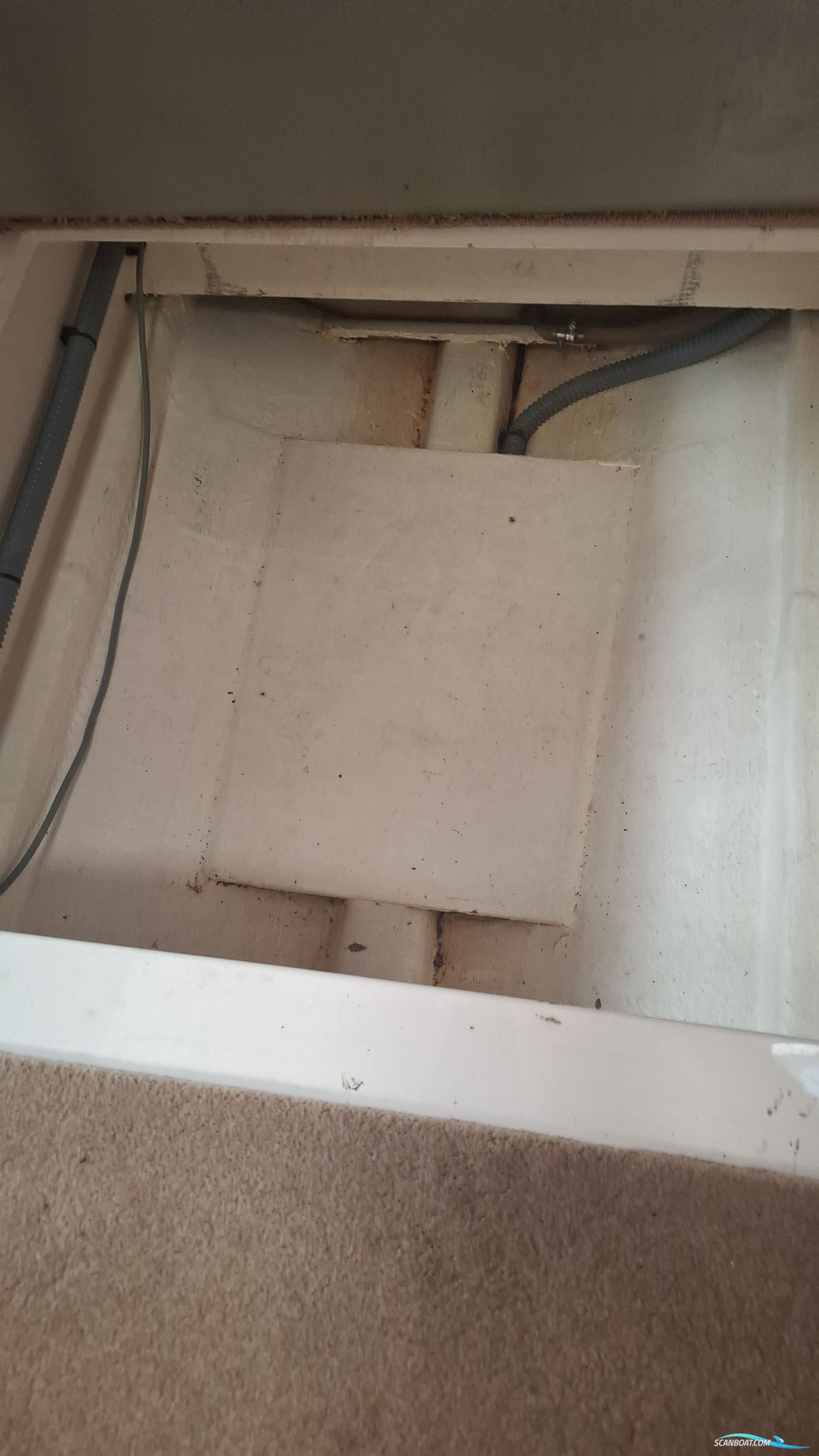 Sealine S38 Sports open