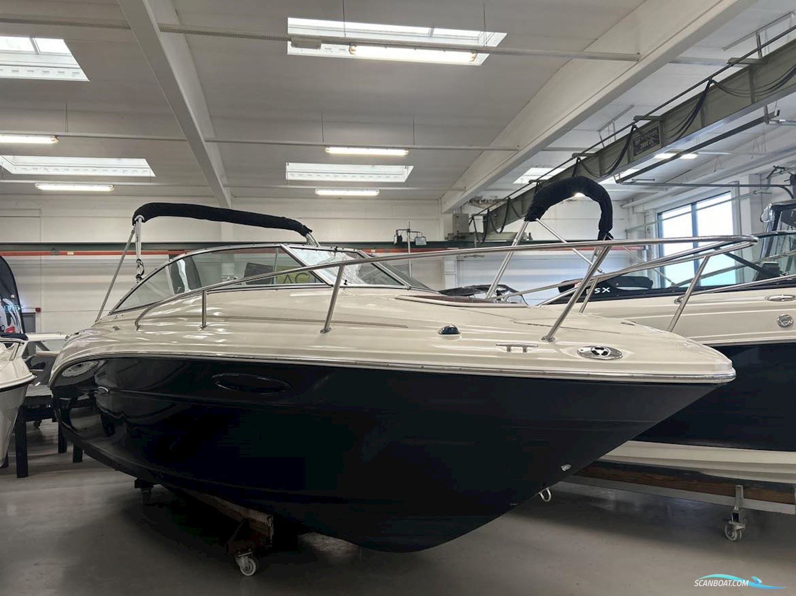 Searay 225 Weekender