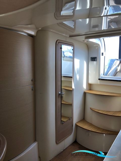 Sessa C30 Oyster