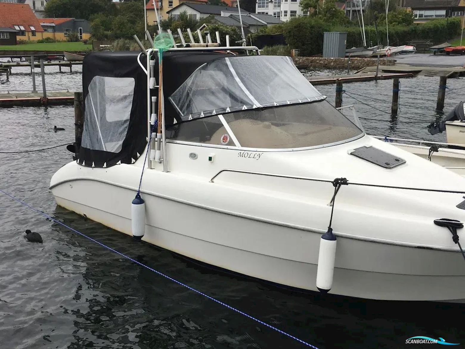 Sessa Oyster 20