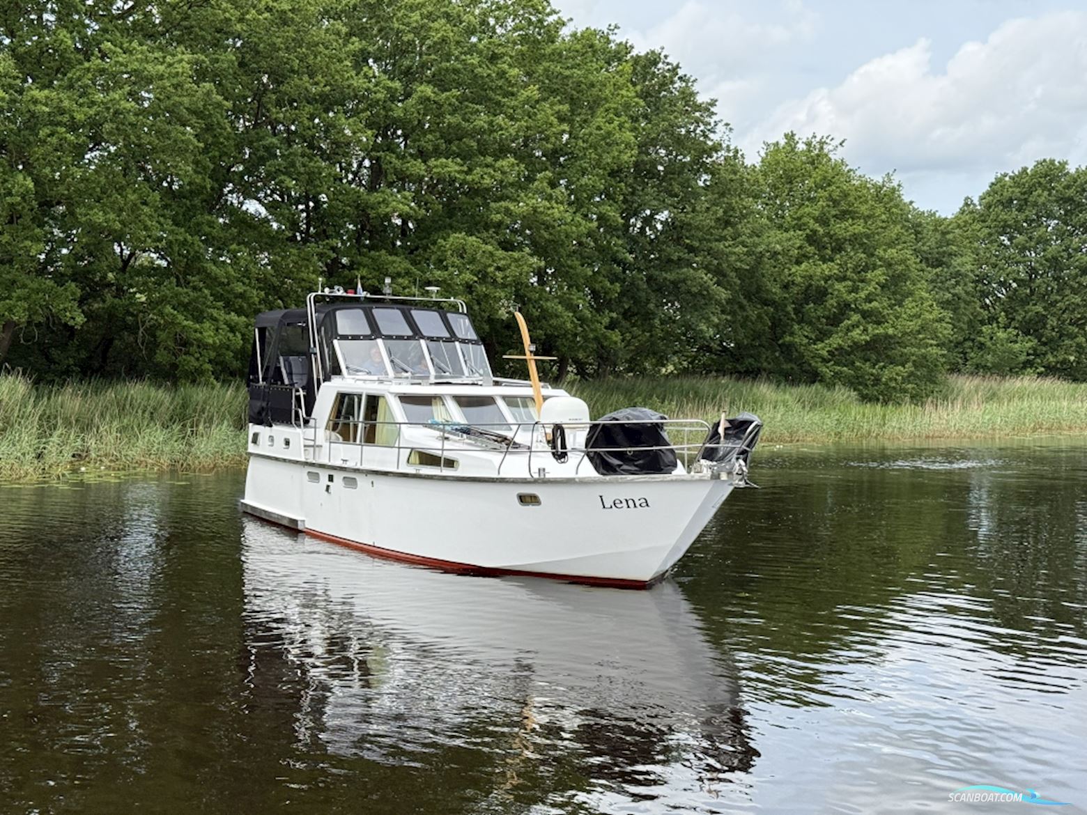 Shogun 38