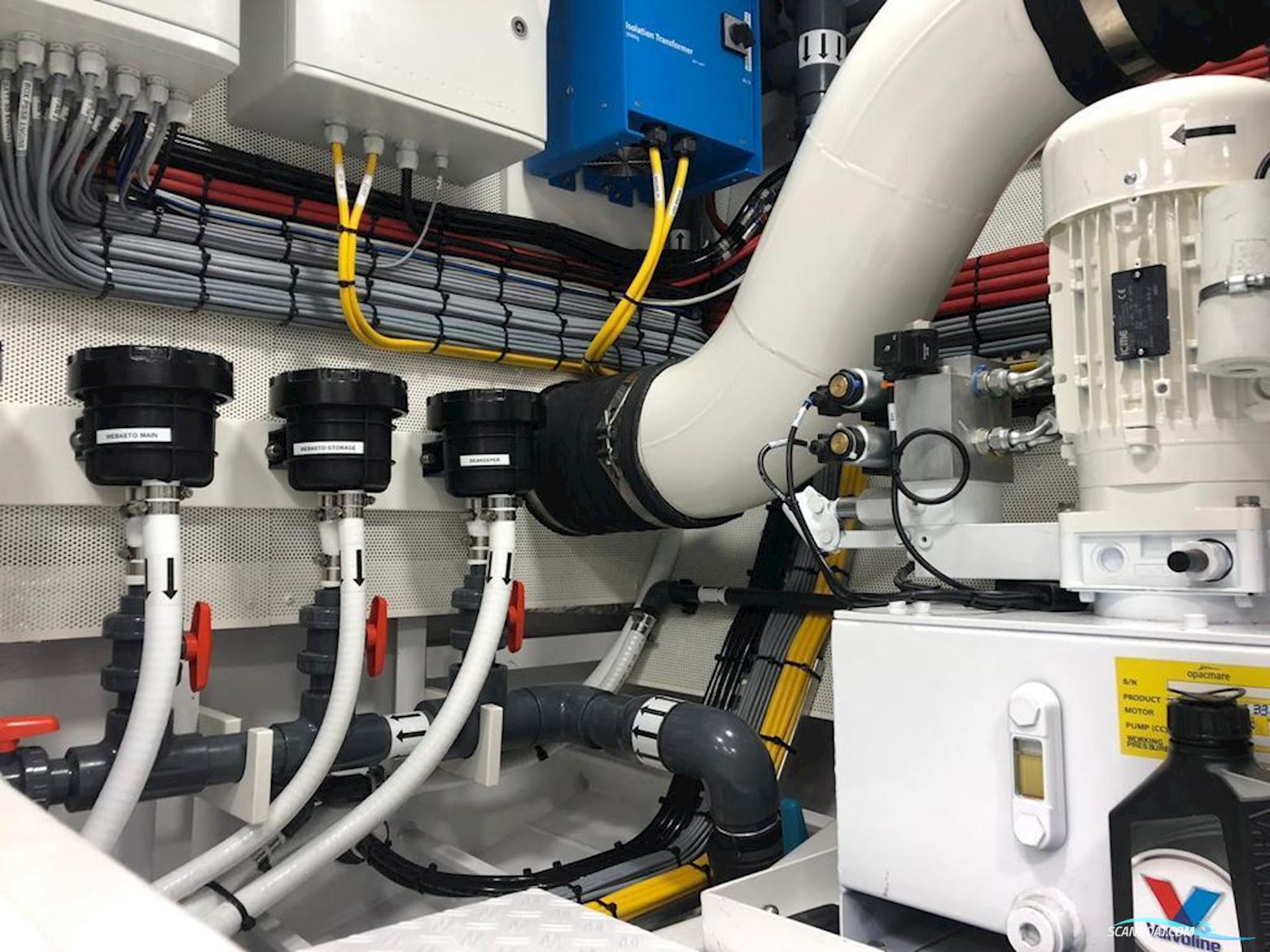 Sichterman Felicitatem