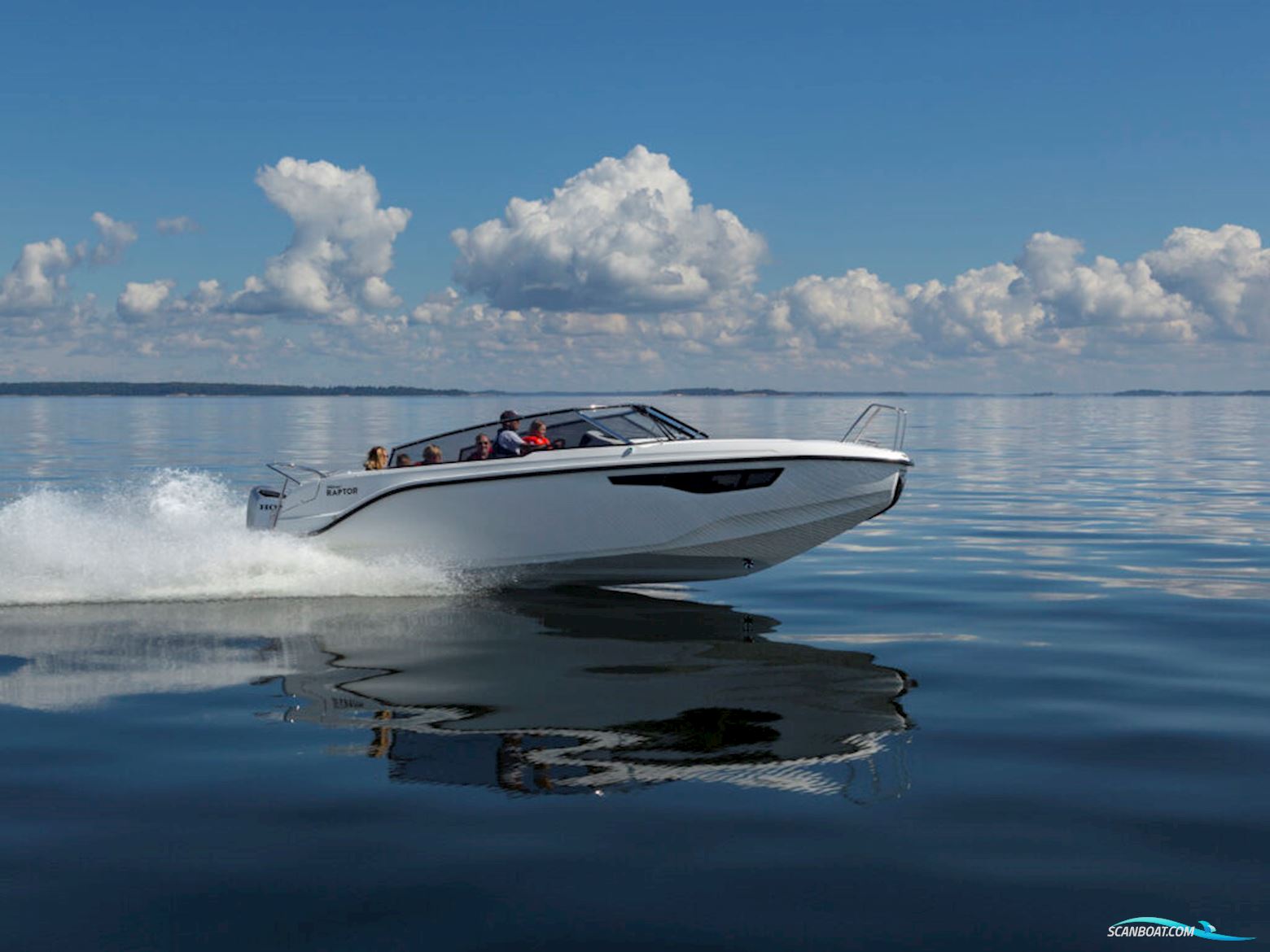 Silver RAPTOR DCZ