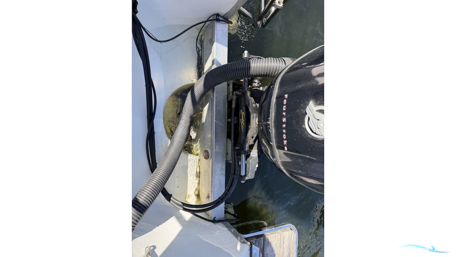 Silver SHARK CC/DC/KABIN