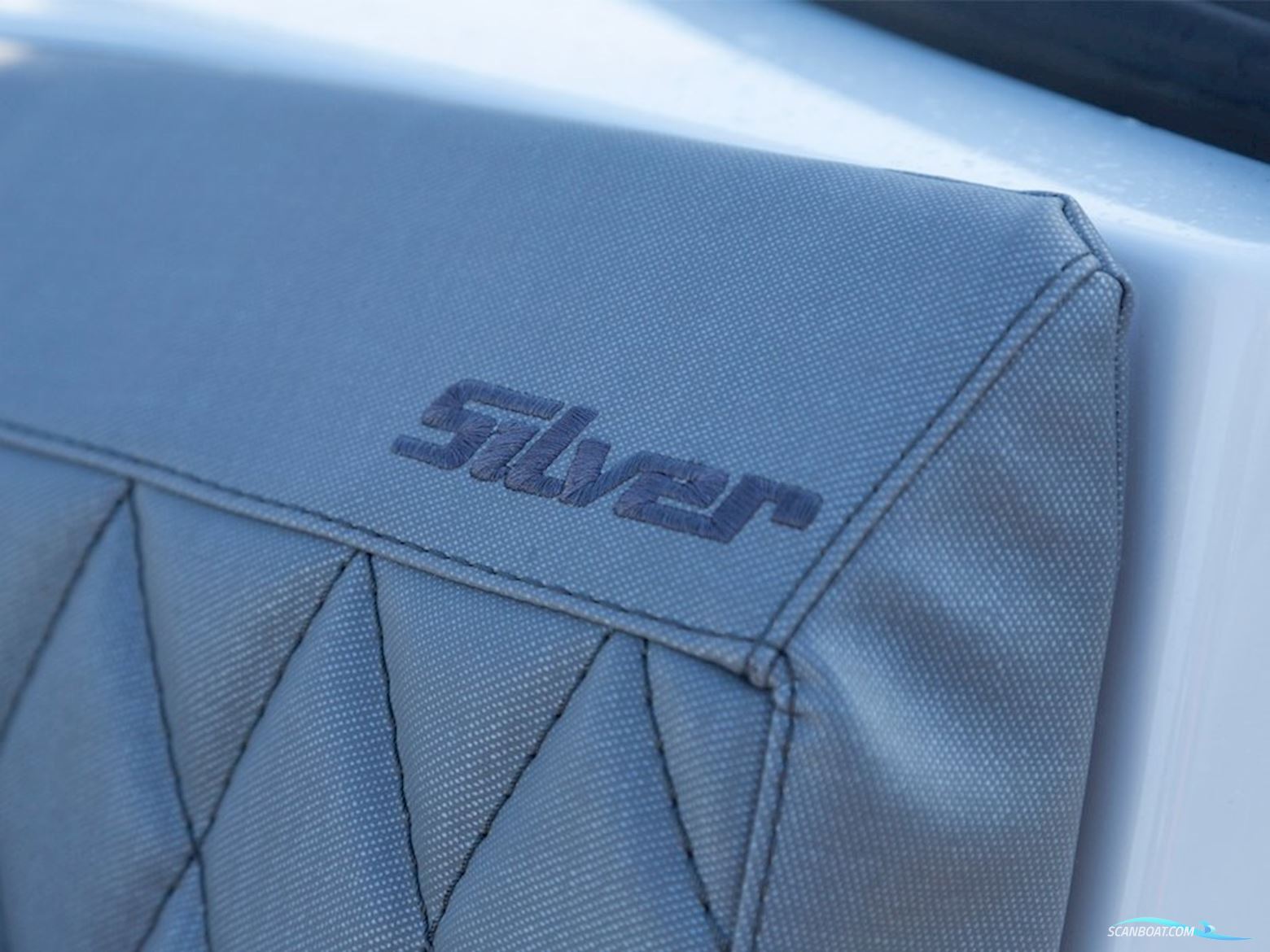 Silver TIGER BRZ